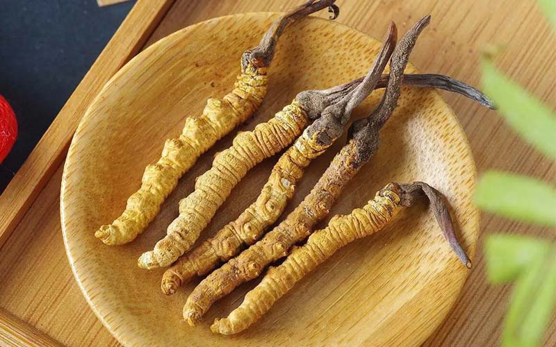 冬蟲夏草作用可以調(diào)節(jié)身體肝臟功能嗎？