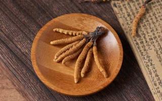 冬蟲夏草的顏色和質(zhì)地，如何通過外觀來辨別不同品種？