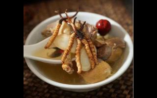 冬蟲夏草各季節(jié)吃有何不同？