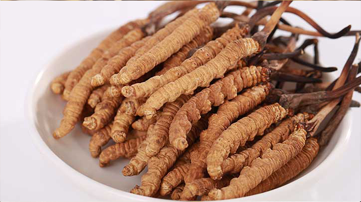 冬蟲夏草適合所有人群嗎？一文揭秘