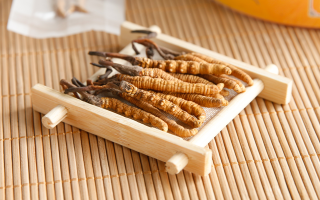 冬蟲夏草一般多少錢一斤？價格背后的價值解析