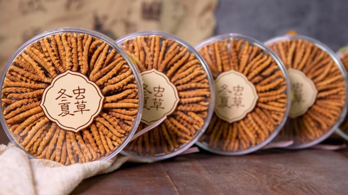 同仁堂<a href=http://m.gi-casino.com/chanpin/ target=_blank class=infotextkey>冬蟲夏草禮盒</a>：珍稀饋贈(zèng)，品質(zhì)之選