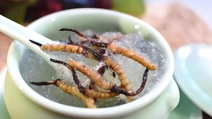 什么時候吃冬蟲夏草好