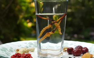 冬蟲夏草能空腹泡水喝嗎？不同人群需區(qū)別對待