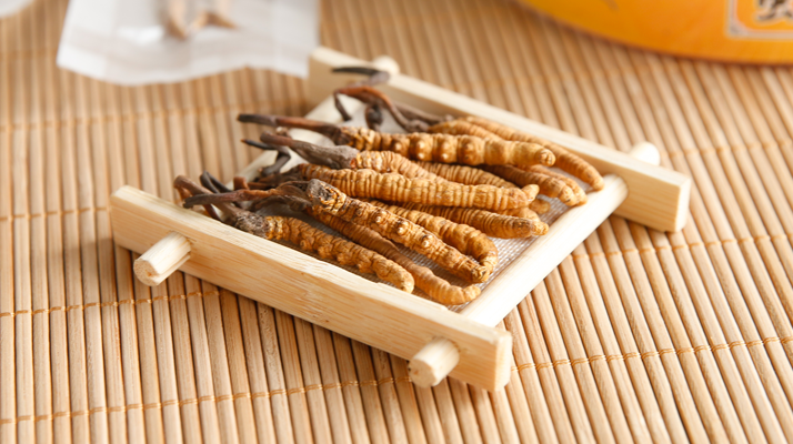 2025 年 9 月冬蟲夏草行情：價格微幅波動，優(yōu)質貨成硬通貨