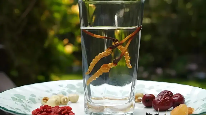 人參配蟲草泡酒，泡多久才好喝 