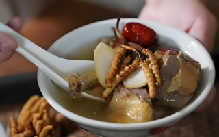 冬蟲夏草和什么一起燉可以治咳嗽？