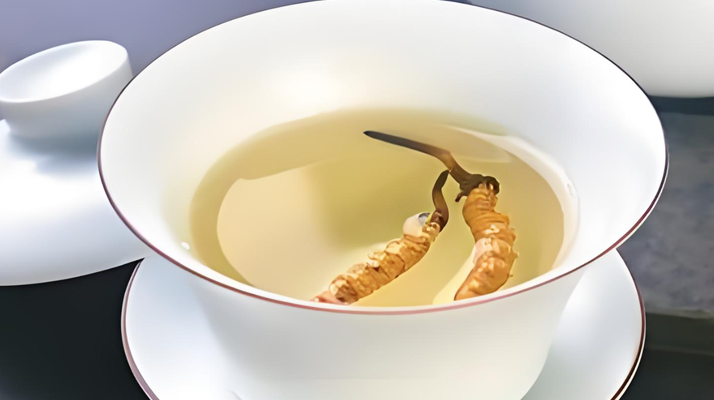 鮮冬蟲夏草可以煮水喝嗎？有什么功效和作用？